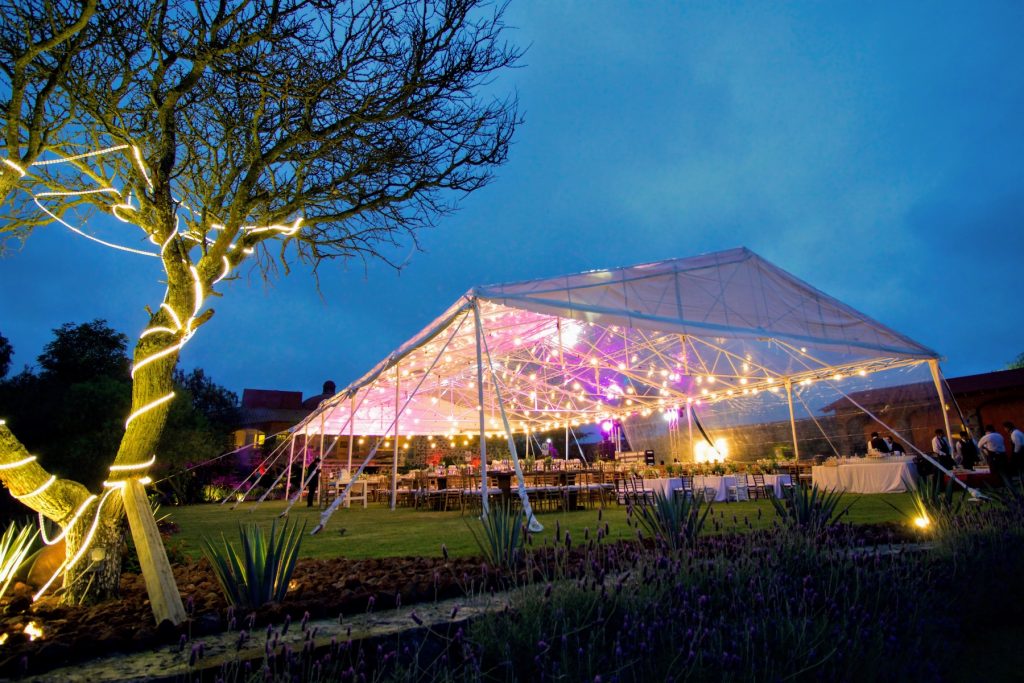 Jardín Fuentes de noche